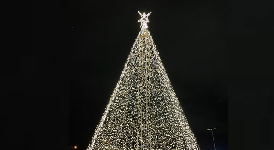 The Tree of Hope is lighting up lives